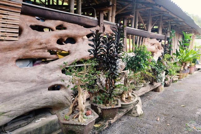 open air common area